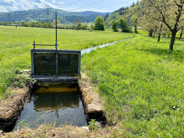 Acasă 39 Fosele septice ecologice: cum funcționează